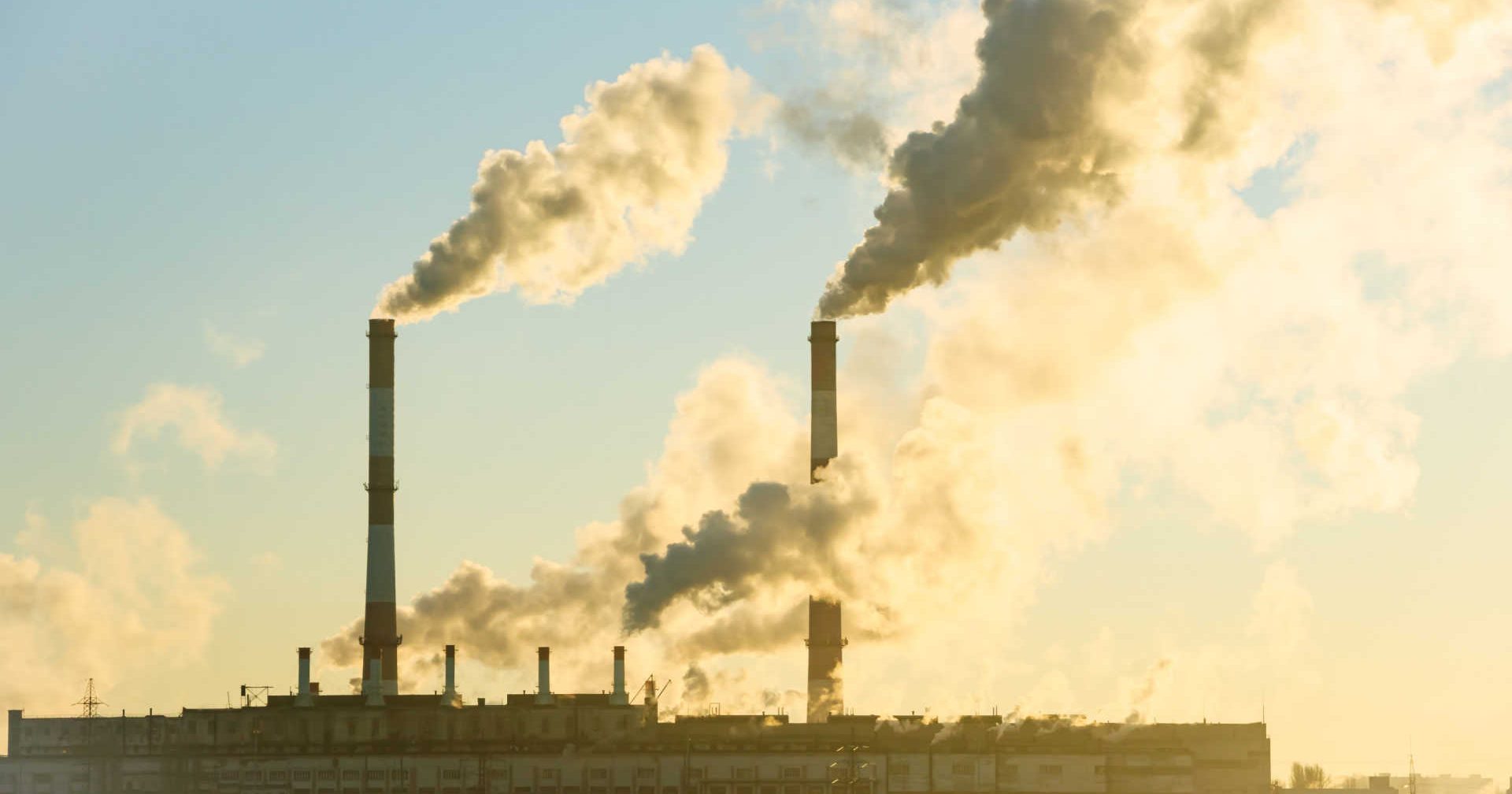 New York Focus The Private Equity ‘Black Box’ Pours New York Pensions